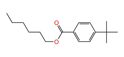 Hexyl 4-tert-butylbenzoate